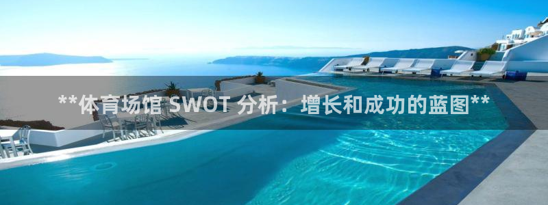 凯时官网app下载官方网站：**体育场馆 SWOT 分析：增